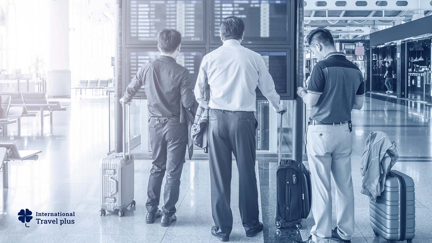 Кейс: Как отчет Travel plus сэкономил клиенту несколько тысяч долларов на одной поездке | Blog